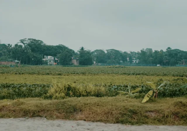 ঢাকার বুকে দেশের বৃহত্তম মসজিদ গড়তে এগিয়েআসুন প্রতি স্কয়ার ফিট ৫ হাযার টাকা